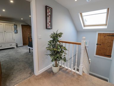 An upstairs hallway with a plant in a pot a skylight window wooden door and a view into a bedroom with a wardrobe and bed at Bodrual Cottage in Rhosbodrual near Caernarfon