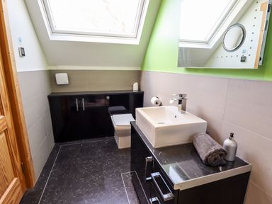 A bathroom with a sink, mirror, toilet, black cabinets, and skylight windows at iLodge Ultra in Kenwick near Louth