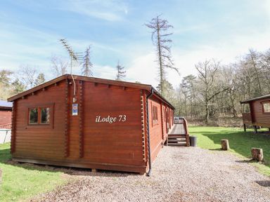 A wooden lodge with an antenna and a small deck in a wooded area at iLodge 73 Kenwick near Louth