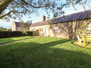 A stone cottage with a lawn and seating areas under a tree at Garden Cottage in Chathill near Beadnell