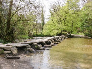 A river crossing with stepping stones and trees along the banks at Beach View in Combe Martin