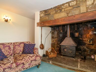 A living room with a patterned sofa a stone fireplace and a wood stove at Canny Croft in Chilton Polden near Street