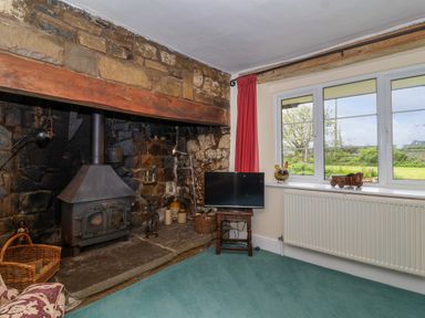 A room with a wood burning stove set in a stone fireplace a television on a small wooden table and a window with a view of a garden at Canny Croft Chilton Polden near Street