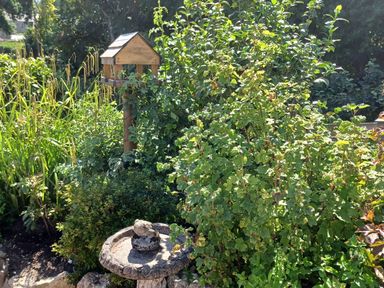 A garden with a wooden bird feeder and a stone birdbath surrounded by green plants at Woodbine Cottage in Mylor Bridge Nr Falmouth