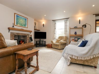 A living room with a fireplace a television an armchair a sofa and wooden shelves at Woodbine Cottage in Mylor Bridge Nr Falmouth
