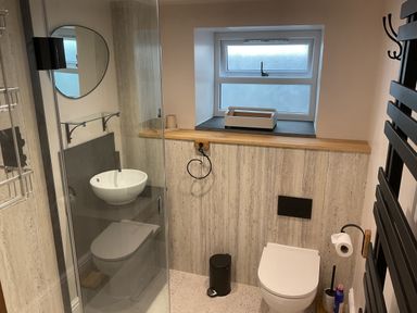 A bathroom with a shower, toilet, and sink at Woodbine Cottage in Mylor Bridge, Nr Falmouth