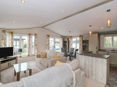 An open living area with two sofas a glass coffee table a television dining table and a kitchen with cabinets at Gwydn Lodge in Downton Hampshire