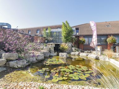 An outdoor pond with lily pads surrounded by rocks and plants outside a building with a tiled roof at Gwydn Lodge in Downton Hampshire