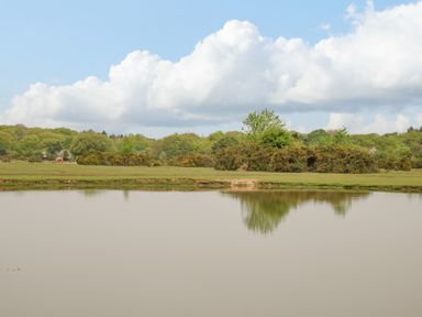 A lake with grass and bushes along the shore with trees and a horse in the background at Gwydn Lodge in Downton Hampshire