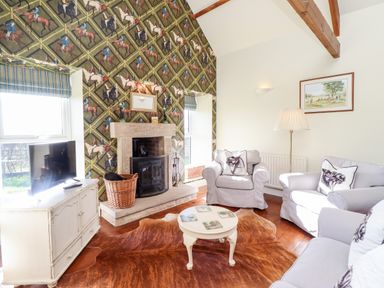 A living room with a fireplace a television and patterned wallpaper at The Byre in Longwitton near Morpeth