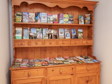 A wooden shelving unit with travel brochures and decorative elephants at The Stables at Hall Barn Wattisfield near Walsham-Le-Willows