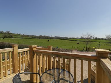 A wooden balcony with a glass table and black chair overlooking green fields with grazing horses at The Attic at Redmond Bottom in Wookey