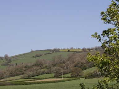Green hills with scattered trees and bushes under a clear sky at The Attic at Redmond Bottom in Wookey