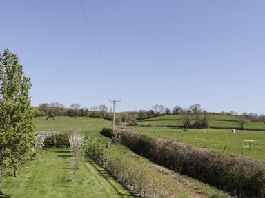 A green field with trees and horses under a clear sky at The Attic at Redmond Bottom in Wookey