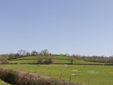 A green field with horses grazing and trees in the background at The Attic at Redmond Bottom in Wookey