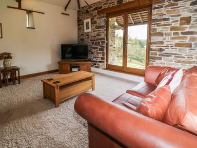 A living room with a red leather sofa a wooden coffee table a tv on a wooden stand and a large window overlooking greenery at Birchenhayes in St Dominick