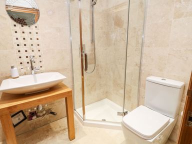A bathroom with a shower cubicle a toilet and a sink on a wooden stand at Birchenhayes in St Dominick