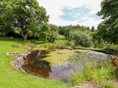 A garden with a pond surrounded by grass trees and shrubs at Birchenhayes in St Dominick