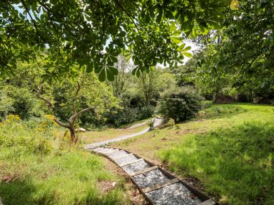 A gravel path with wooden steps in a green garden with trees and bushes at Birchenhayes in St Dominick