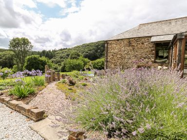 A stone house with a garden path and flowering plants in a rural setting at Birchenhayes in St Dominick