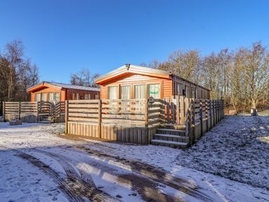 Two wooden cabins with fenced porches surrounded by snow and trees at Pegasus in Felmoor Park