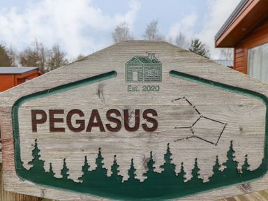 A wooden sign with the word Pegasus a cabin illustration an Est 2020 text and tree silhouettes at Felmoor Park