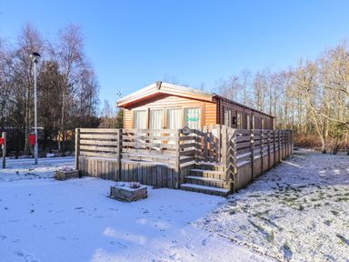 A wooden cabin with a fenced porch on a snow-covered ground surrounded by leafless trees at Hercules Felmoor Park