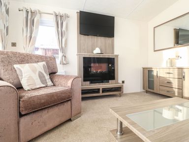 A living room with a pink sofa a fireplace mounted tv wooden cabinet and coffee table at Canis Felmoor Park