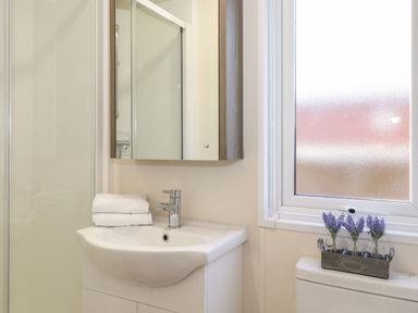 A bathroom sink with towels next to a mirror cabinet and a window with flowers on a toilet at Canis in Felmoor Park