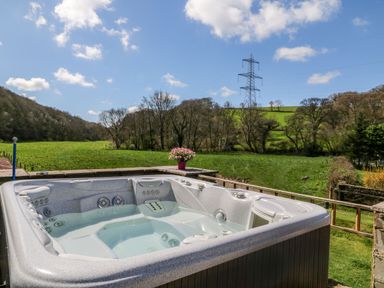 An outdoor hot tub with water surrounded by green fields trees and an electricity pylon at Monkleigh Mill in Monkleigh near Bideford