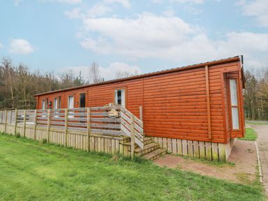 A wooden cabin with a deck and ramp surrounded by grass and trees at Draco in Felmoor Park
