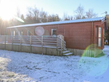 A wooden cabin with a small porch and steps surrounded by light snow at Ursa in Felmoor Park