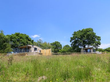 Two small cabins on a grassy hillside with trees in the background at Rooster's Rest in Rhaedr Gwy near Rhayader