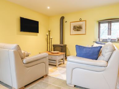 A living room with two leather armchairs a wood stove a wall mounted tv and a window at Bradley Stables in Withypool