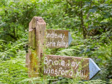 A wooden signpost with bridleway directions surrounded by greenery and ferns at Bradley Stables in Withypool