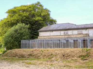 A stable building with metal horse stalls and trees in the background at Bradley Stables in Withypool