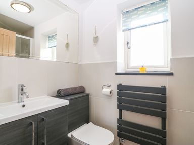 A bathroom with a sink cabinet toilet roll holder window with fish patterned blind and radiator at Pips Barn in Brynteg near Benllech