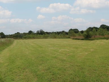 A large grass field with trees and shrubs in the background at Pips Barn in Brynteg near Benllech