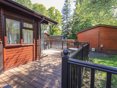 A wooden deck with black railing outside wooden lodges surrounded by trees at Ghyll Lodge Grasmere 25 White Cross Bay Windermere
