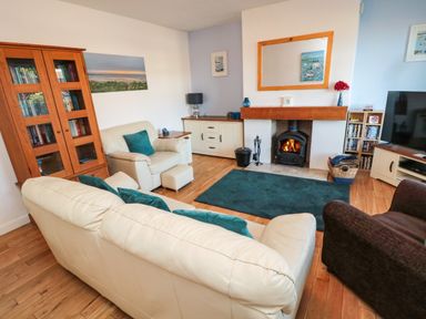 A living room with sofas a fireplace a wooden cabinet and a television at Barnacles in Boulmer near Longhoughton