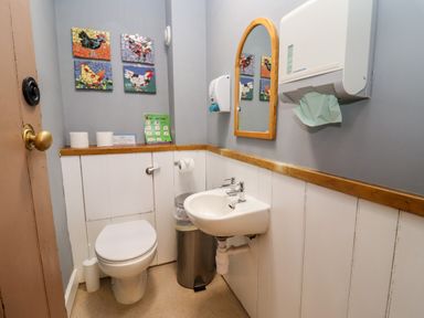 A small bathroom with a toilet sink mirror and mosaic artwork on walls at Wick Court Farm Arlingham near Frampton On Severn