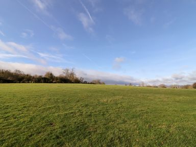 A grassy field with trees and bushes under a blue sky at Wick Court Farm in Arlingham near Frampton On Severn