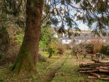A garden area with a large tree in the foreground wood logs and a white cottage in the background at Early Mist Cottage in Haytor Vale