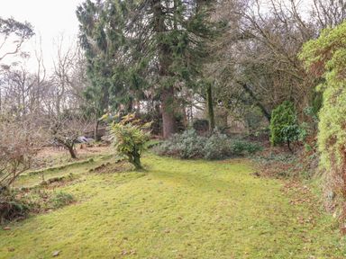 A garden with grass, shrubs, and trees including a tall evergreen at Early Mist Cottage in Haytor Vale