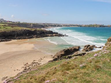 A coastline with sandy beach cliffs wildflowers and sea at 7 Longshore in St Columb Minor