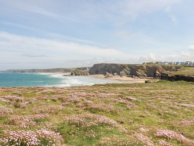 A coastal landscape with cliffs sandy beach and pink flowers on grassy field at 7 Longshore in St Columb Minor