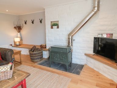 A living room with a wood-burning stove and chimney pipe a basket of firewood a television on a shelf and a sofa at Whiteadder Bank in Berwick-Upon-Tweed
