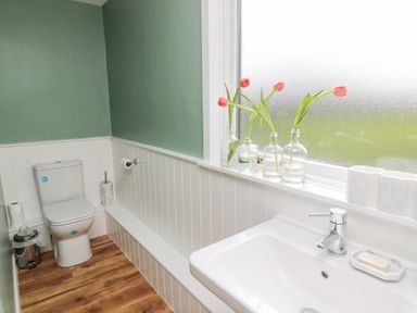 A bathroom with a toilet and a sink next to a frosted window with flowers in bottles at Whiteadder Bank in Berwick-Upon-Tweed