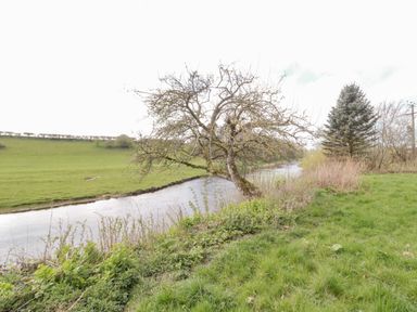 A river flowing beside a grassy field with a leafless tree and a pine tree at Whiteadder Bank in Berwick-Upon-Tweed