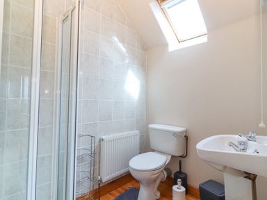 A bathroom with a shower cubicle toilet sink and skylight window at Cloughoge House in Kilrush County Clare